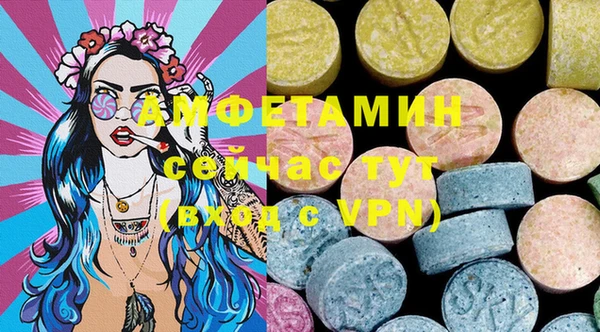мдпв Няндома