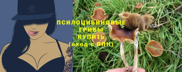 трава Абинск