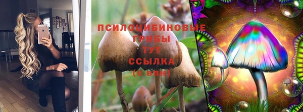 гашик Абаза
