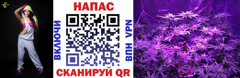 Марихуана Bruce Banner  Ковдор 